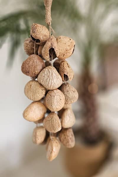 Notenshaker hanger licht