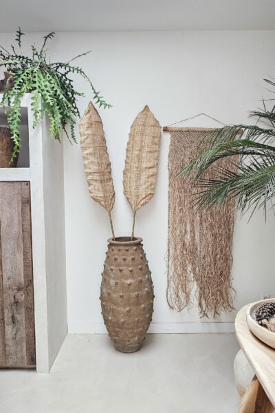 Leaf bananenblad breed