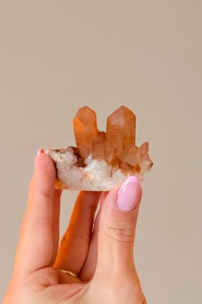 Tangerine cluster | T1